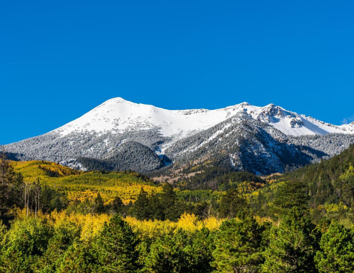 Bespoke Inn Flagstaff Ngoại thất bức ảnh